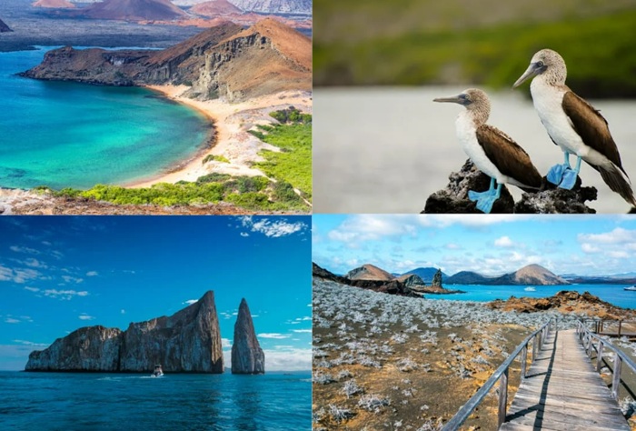 Best Destinations in South America for First-Time Travelers-Ecuador